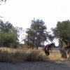 Трудоустройство 