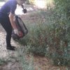 Трудоустройство 